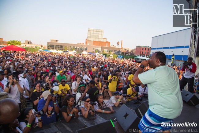 Brooklyn Hip Hop Festival 2014