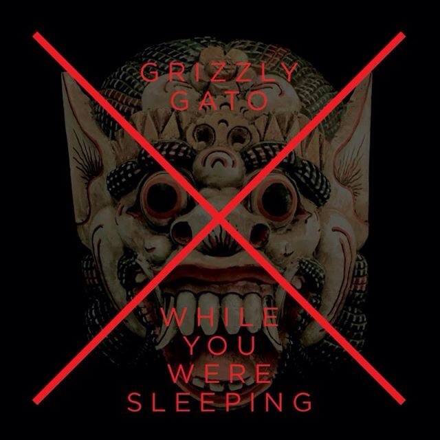Grizzly Gato - While You Were Sleeping