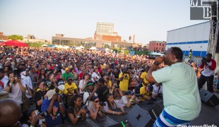 Brooklyn Hip Hop Festival 2014