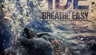 IDE Breathe Easy